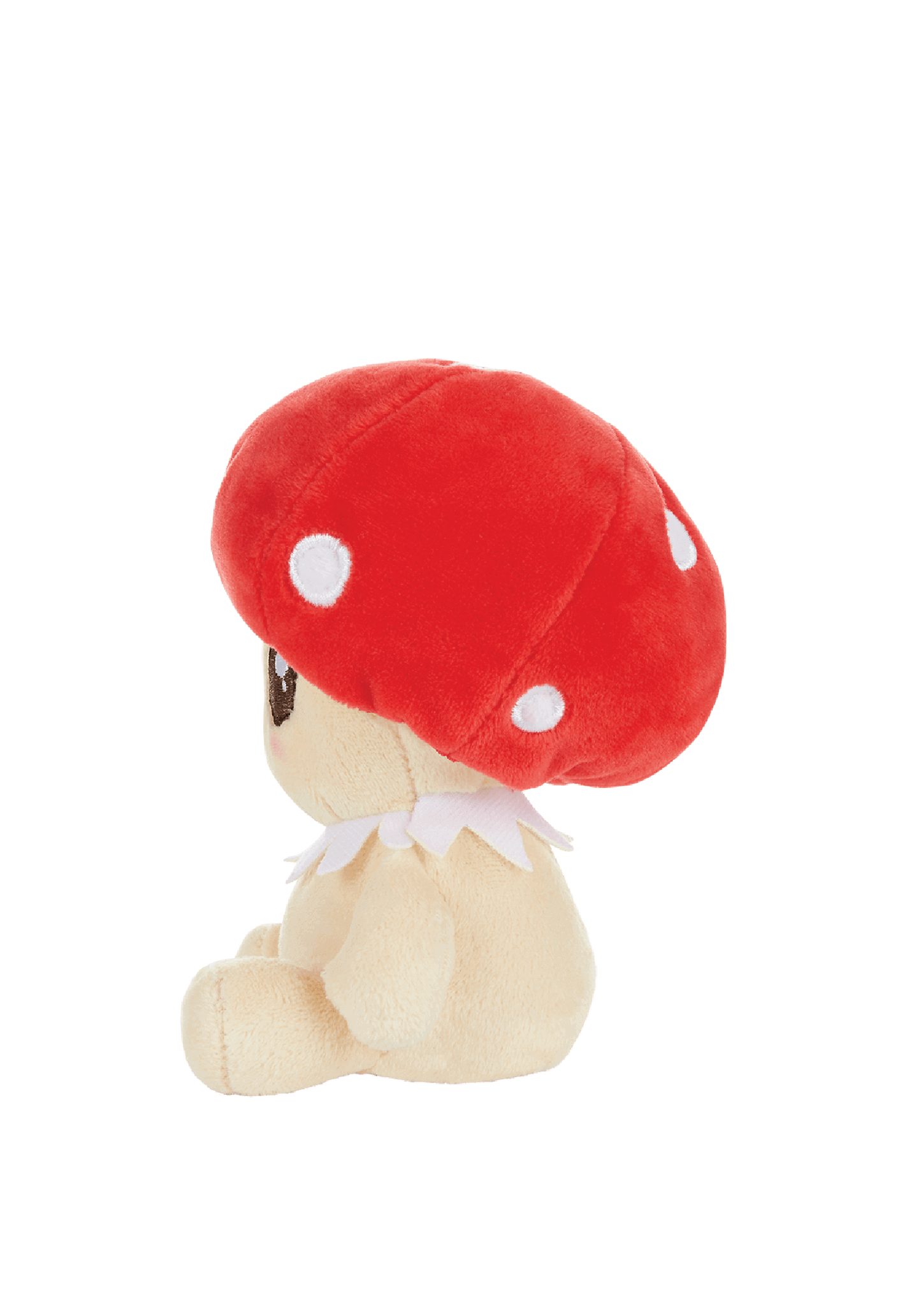 Bubble lítill bangsi