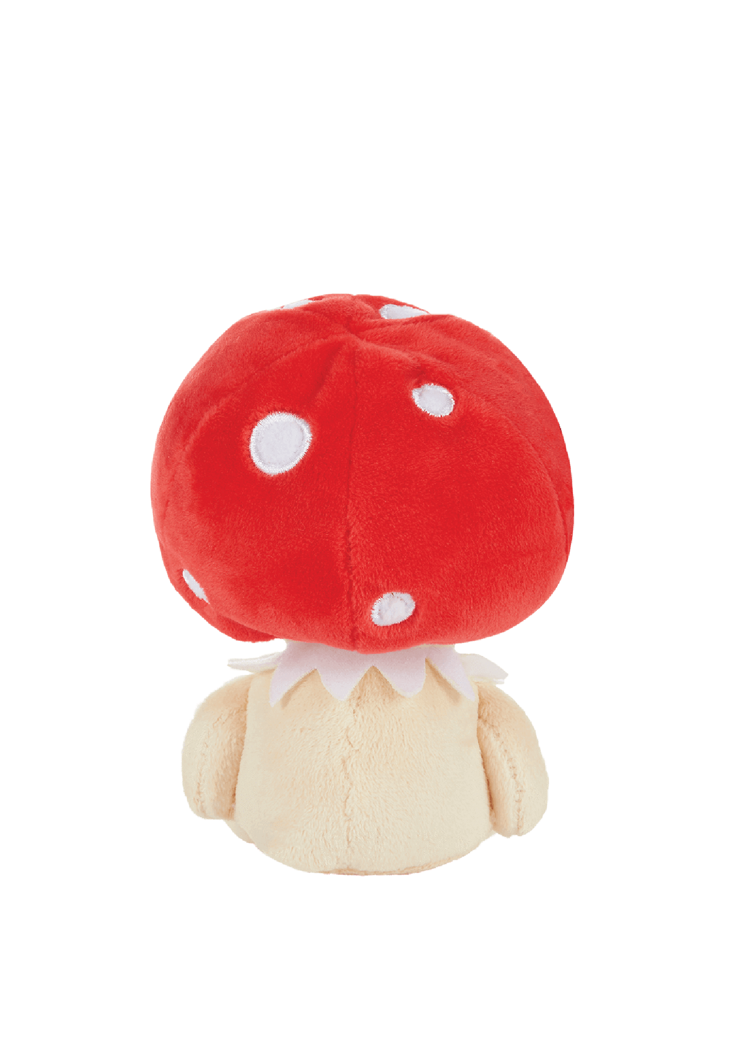 Bubble lítill bangsi